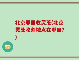北京那里收灵芝(北京灵芝收割地点在哪里？)