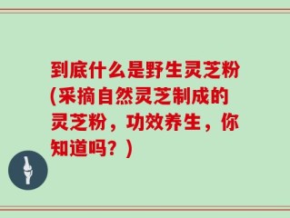 到底什么是野生灵芝粉(采摘自然灵芝制成的灵芝粉，功效养生，你知道吗？)