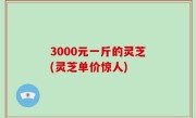 3000元一斤的灵芝(灵芝单价惊人)