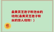 桑黄灵芝孢子粉泡水的功效(桑黄灵芝孢子粉水的惊人功效！)