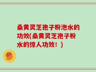 桑黄灵芝孢子粉泡水的功效(桑黄灵芝孢子粉水的惊人功效！)