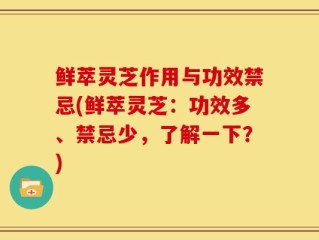鲜萃灵芝作用与功效禁忌(鲜萃灵芝：功效多、禁忌少，了解一下？)