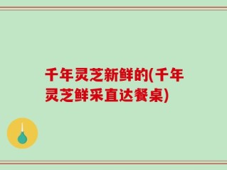 千年灵芝新鲜的(千年灵芝鲜采直达餐桌)