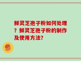 鲜灵芝孢子粉如何处理？鲜灵芝孢子粉的制作及使用方法？