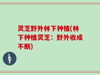 灵芝野外林下种植(林下种植灵芝：野外收成不断)