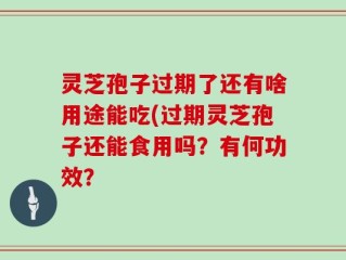 灵芝孢子过期了还有啥用途能吃(过期灵芝孢子还能食用吗？有何功效？