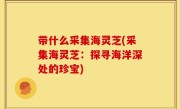带什么采集海灵芝(采集海灵芝：探寻海洋深处的珍宝)