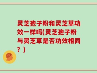 灵芝孢子粉和灵芝草功效一样吗(灵芝孢子粉与灵芝草是否功效相同？)