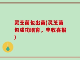 灵芝菌包出菌(灵芝菌包成功培育，丰收喜报)