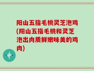 阳山五指毛桃灵芝泡鸡(阳山五指毛桃和灵芝泡出肉质鲜嫩味美的鸡肉)