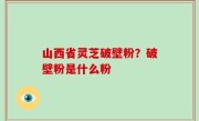 山西省灵芝破壁粉？破壁粉是什么粉