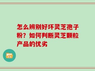 怎么辨别好坏灵芝孢子粉？如何判断灵芝颗粒产品的优劣