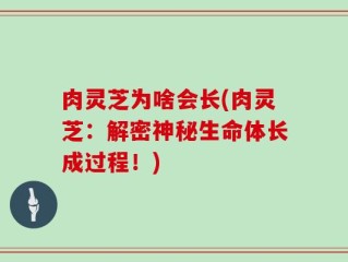 肉灵芝为啥会长(肉灵芝：解密神秘生命体长成过程！)