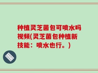 种植灵芝菌包可喷水吗视频(灵芝菌包种植新技能：喷水也行。)