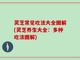 灵芝常见吃法大全图解(灵芝养生大全：多种吃法图解)