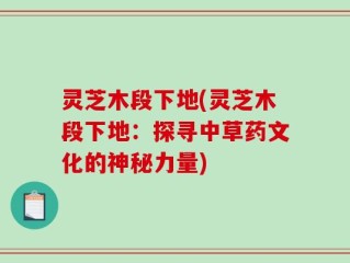 灵芝木段下地(灵芝木段下地：探寻中草药文化的神秘力量)