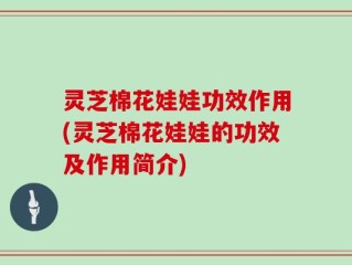 灵芝棉花娃娃功效作用(灵芝棉花娃娃的功效及作用简介)