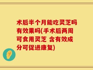 术后半个月能吃灵芝吗有效果吗(手术后两周可食用灵芝 含有效成分可促进康复)