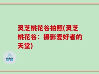 灵芝桃花谷拍照(灵芝桃花谷：摄影爱好者的天堂)