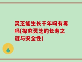灵芝能生长千年吗有毒吗(探究灵芝的长寿之谜与安全性)