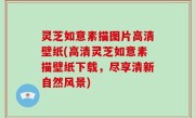 灵芝如意素描图片高清壁纸(高清灵芝如意素描壁纸下载，尽享清新自然风景)