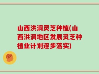 山西洪洞灵芝种植(山西洪洞地区发展灵芝种植业计划逐步落实)