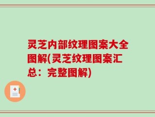 灵芝内部纹理图案大全图解(灵芝纹理图案汇总：完整图解)