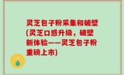灵芝包子粉采集和破壁(灵芝口感升级，破壁新体验——灵芝包子粉重磅上市)