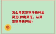 怎么用灵芝孢子粉种出灵芝(种出灵芝，从灵芝孢子粉开始)
