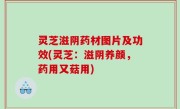 灵芝滋阴药材图片及功效(灵芝：滋阴养颜，药用又菇用)
