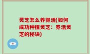 灵芝怎么养得活(如何成功种植灵芝：养活灵芝的秘诀)