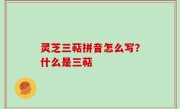 灵芝三萜拼音怎么写？什么是三萜