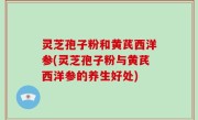 灵芝孢子粉和黄芪西洋参(灵芝孢子粉与黄芪西洋参的养生好处)