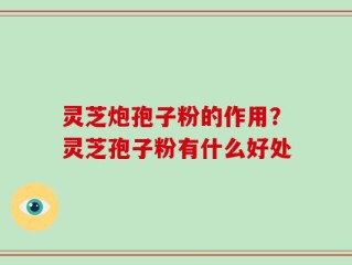 灵芝炮孢子粉的作用？灵芝孢子粉有什么好处