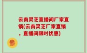 云南灵芝直播间厂家直销(云南灵芝厂家直销，直播间限时优惠)