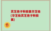 灵芝孢子粉胶囊华芝极(华芝极灵芝孢子粉胶囊)