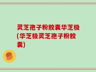 灵芝孢子粉胶囊华芝极(华芝极灵芝孢子粉胶囊)