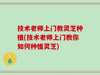 技术老师上门教灵芝种植(技术老师上门教你如何种植灵芝)