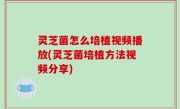 灵芝菌怎么培植视频播放(灵芝菌培植方法视频分享)
