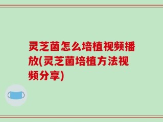 灵芝菌怎么培植视频播放(灵芝菌培植方法视频分享)