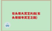 石头哥大灵芝片段(石头哥探寻灵芝之路)