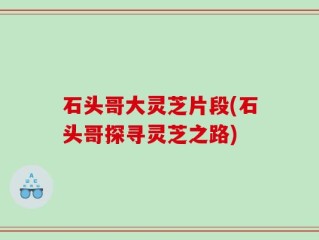 石头哥大灵芝片段(石头哥探寻灵芝之路)