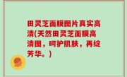 田灵芝面膜图片真实高清(天然田灵芝面膜高清图，呵护肌肤，再绽芳华。)