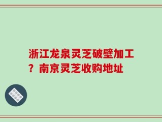 浙江龙泉灵芝破壁加工？南京灵芝收购地址