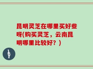 昆明灵芝在哪里买好些呀(购买灵芝，云南昆明哪里比较好？)