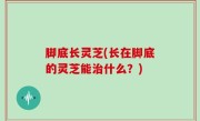 脚底长灵芝(长在脚底的灵芝能治什么？)