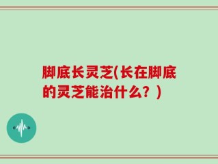 脚底长灵芝(长在脚底的灵芝能治什么？)
