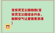 宝安灵芝公园拍拖(宝安灵芝公园适合约会，新鲜空气让爱情更浪漫)