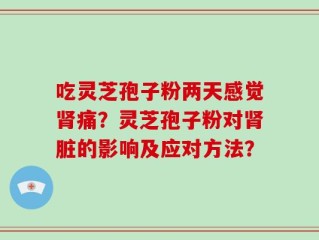 吃灵芝孢子粉两天感觉肾痛？灵芝孢子粉对肾脏的影响及应对方法？