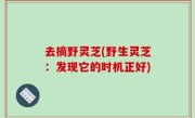 去摘野灵芝(野生灵芝：发现它的时机正好)